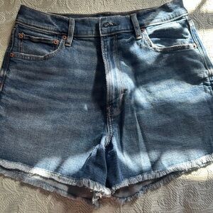 American Eagle Outfitters Light Blue Jean Shorts